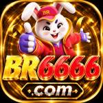 br6666 br6666