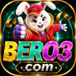 ber030