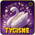 tycisne tycisne Profile Picture