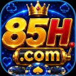 85h 85h