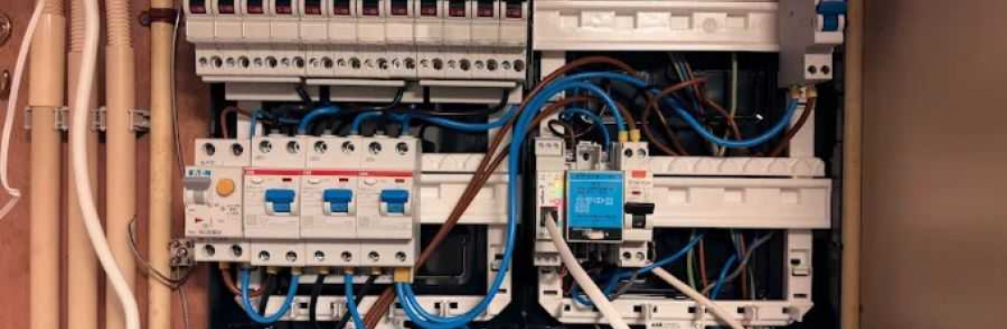 Elektro Blommestein Cover Image