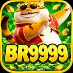 br9999 br9999