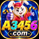 a3456t