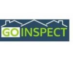 goinspect